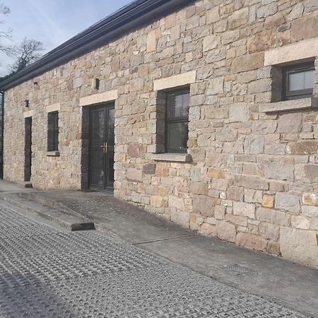 Rathgillen House Villa Nobber Bagian luar foto