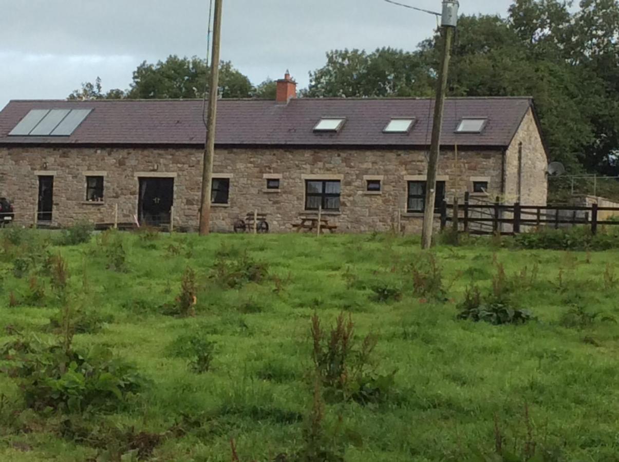 Rathgillen House Villa Nobber Bagian luar foto