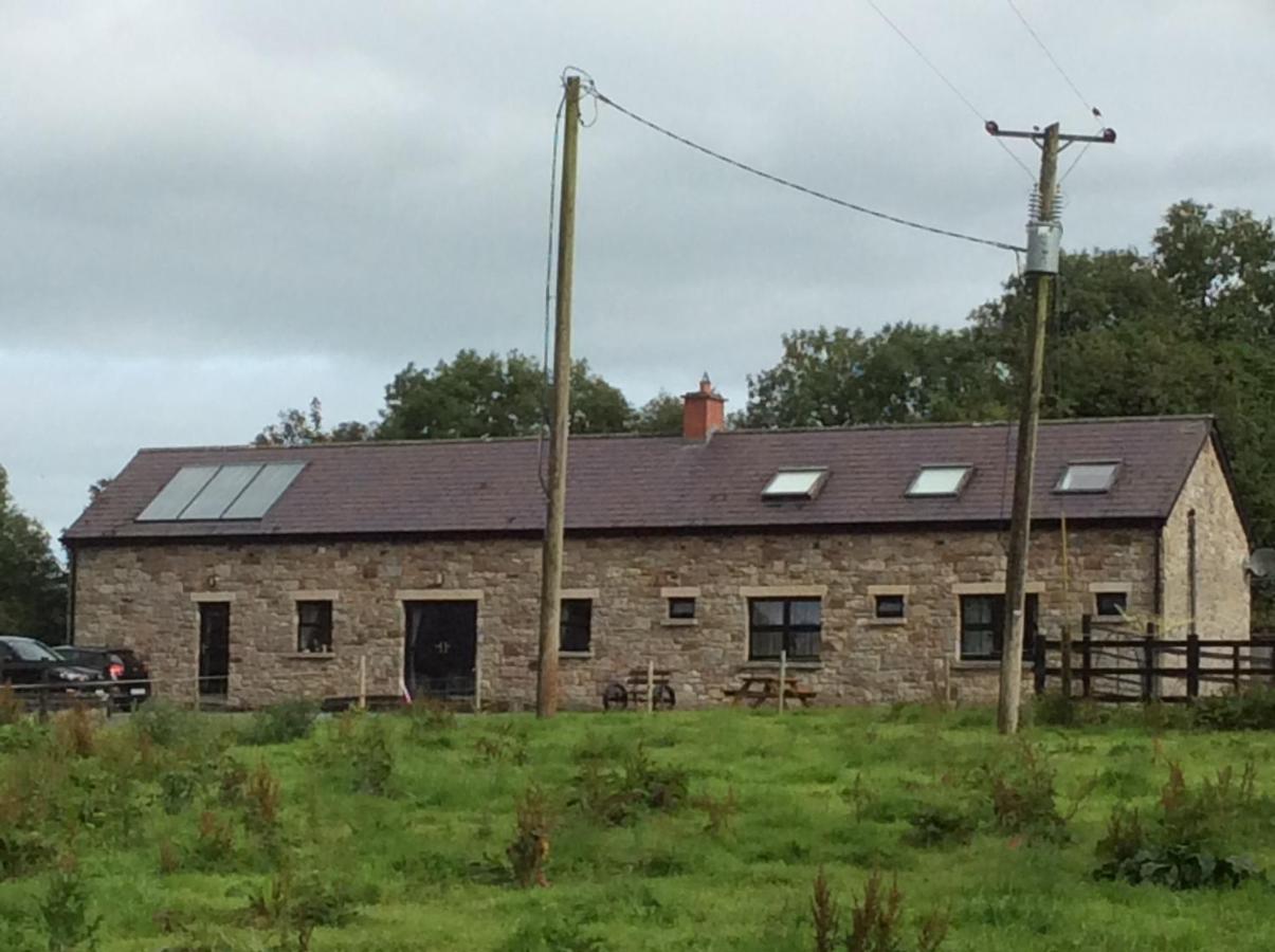 Rathgillen House Villa Nobber Bagian luar foto
